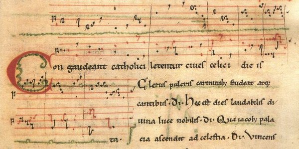 codex codex