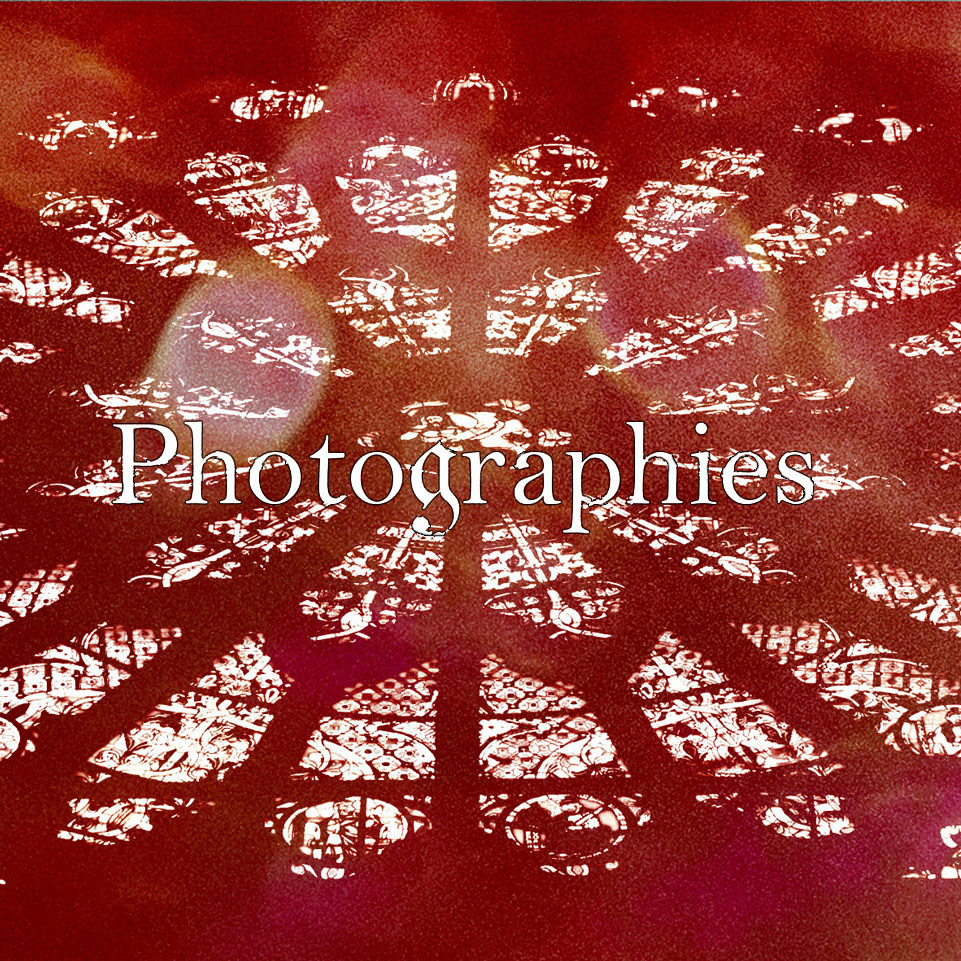 photographies-flores